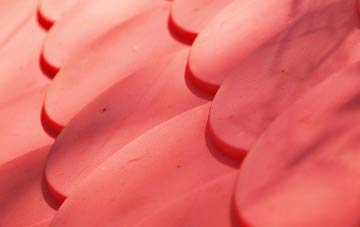 Shelton Under Harley plastic roof costs